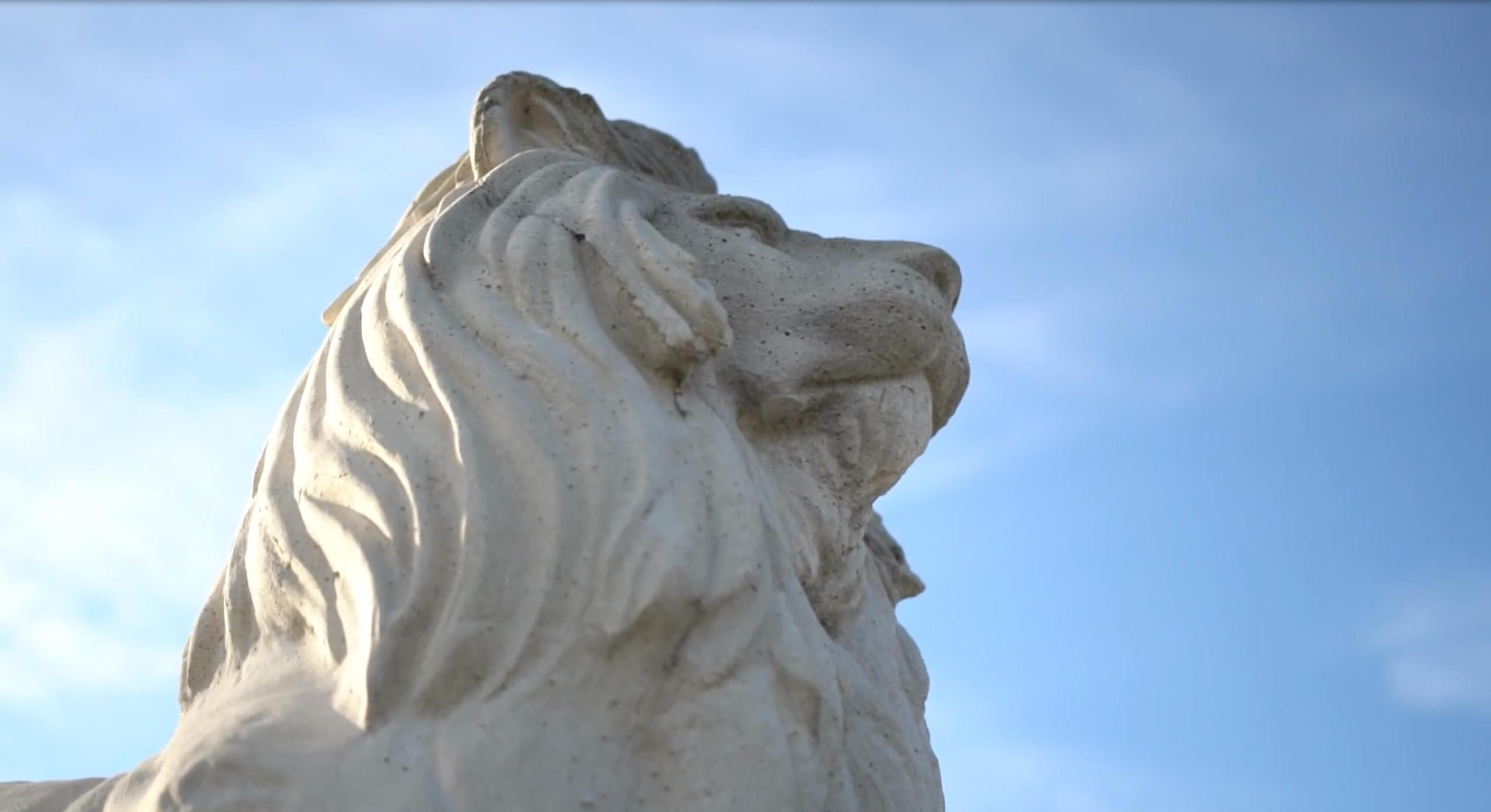 Worm's-eye view of lion statue with blue sky in background